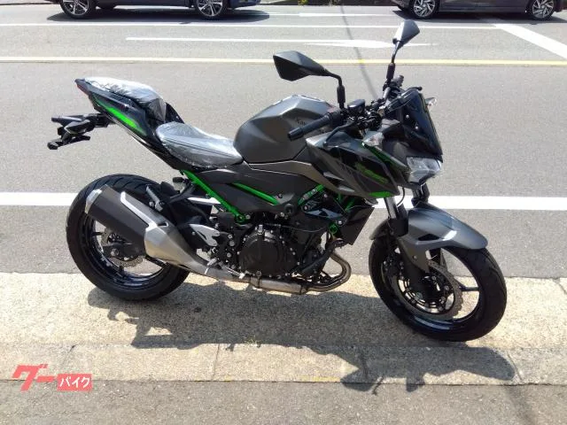 Kawasaki Z250 2024 — фото 1, купить с доставкой в Москву