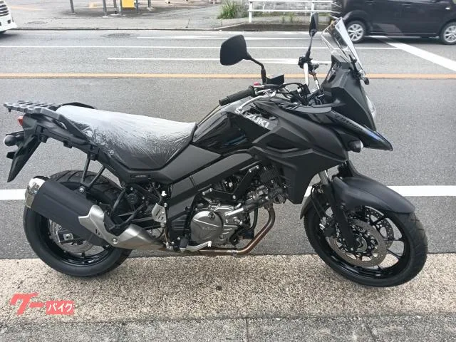 Suzuki V- 650 2025 — фото 1, купить с доставкой в Москву
