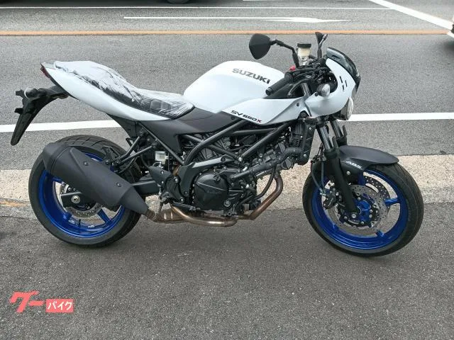 Suzuki SV650X 2025 — фото 1, купить с доставкой в Москву