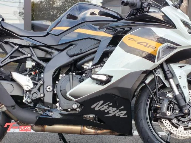 Kawasaki Ninja ZX-4R SE 2026 — миниатюра 2