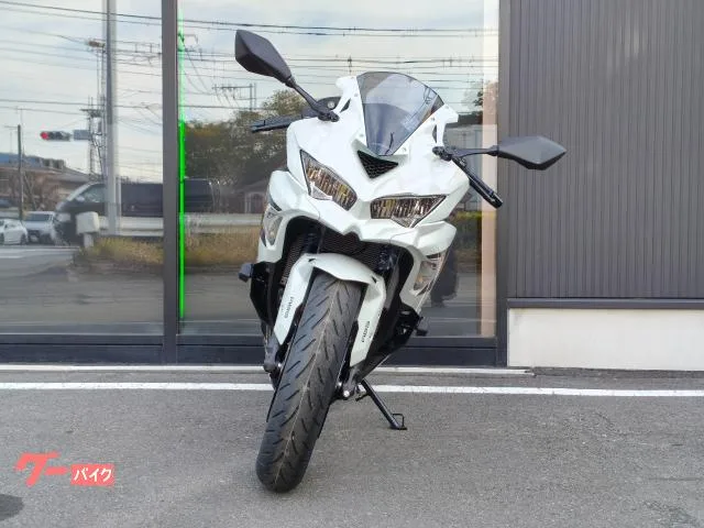 Kawasaki Ninja ZX-4R SE 2026 — миниатюра 3