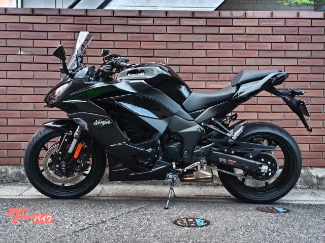 Kawasaki Ninja 1100 SX 2025 — миниатюра 2