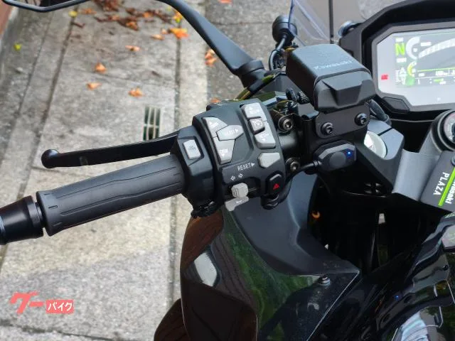 Kawasaki Ninja 1100 SX 2025 — миниатюра 3