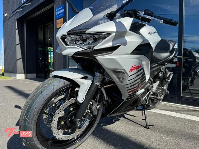 Kawasaki Ninja 650 2026 — миниатюра 3