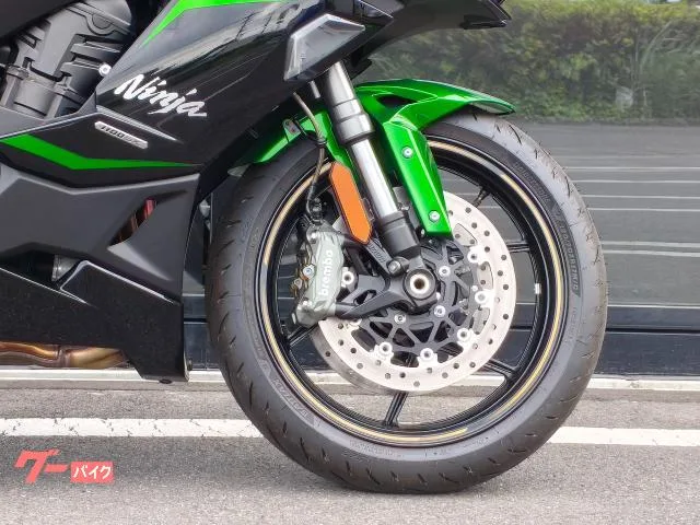 Kawasaki Ninja 1100 SX SE 2025 — миниатюра 2