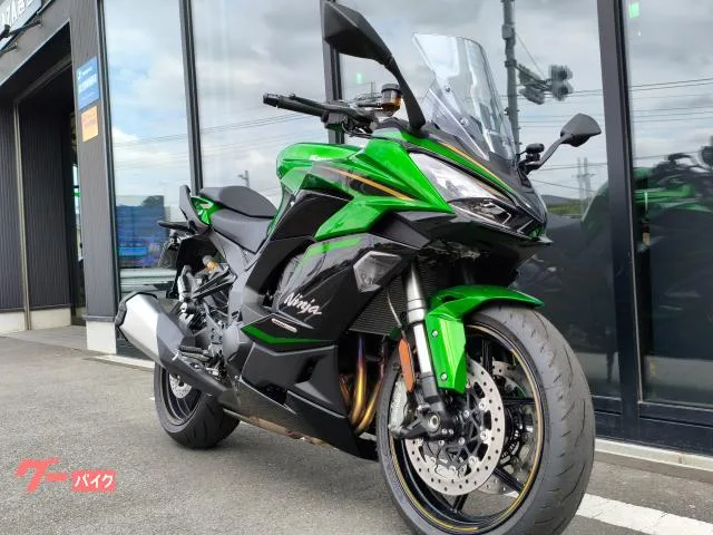 Kawasaki Ninja 1100 SX SE 2025 — миниатюра 3