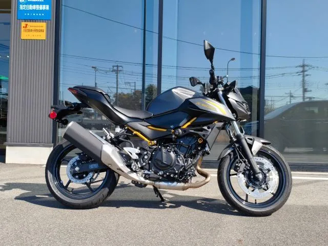 Kawasaki Z500 2026 — фото 1, купить с доставкой в Москву