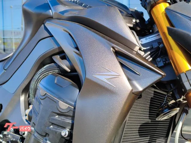 Kawasaki Z1100 SE 2026 — миниатюра 5