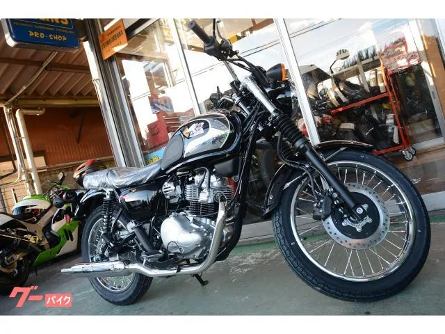 Kawasaki S1 2024 — миниатюра 2