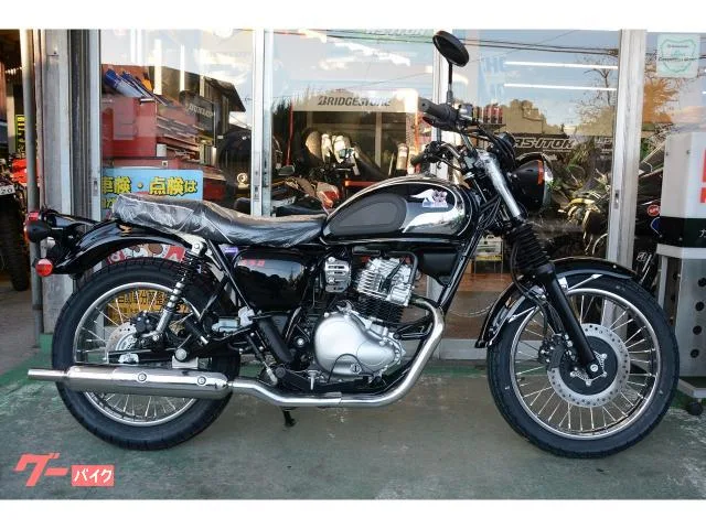 Kawasaki S1 2024 — фото 1, купить с доставкой в Москву