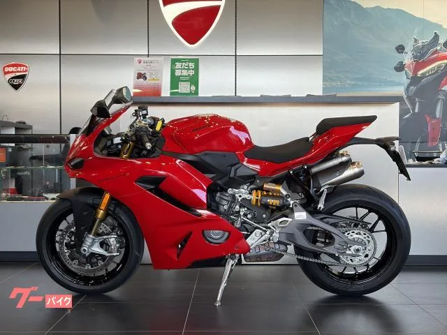 DUCATI V2 S 2025 — миниатюра 2