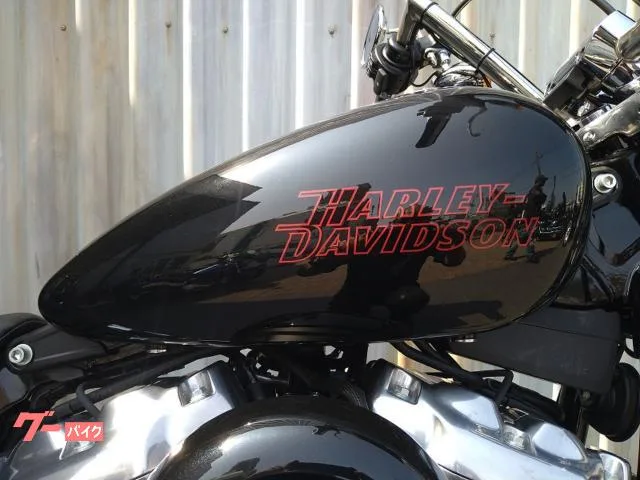 HARLEY-DAVIDSON FXST 2 GP ETC 2024 — миниатюра 5