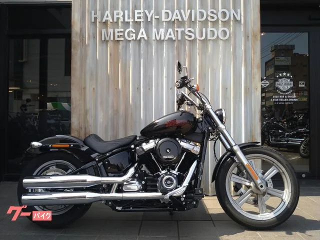 HARLEY-DAVIDSON FXST 2 GP ETC 2024 — фото 1, купить с доставкой в Москву