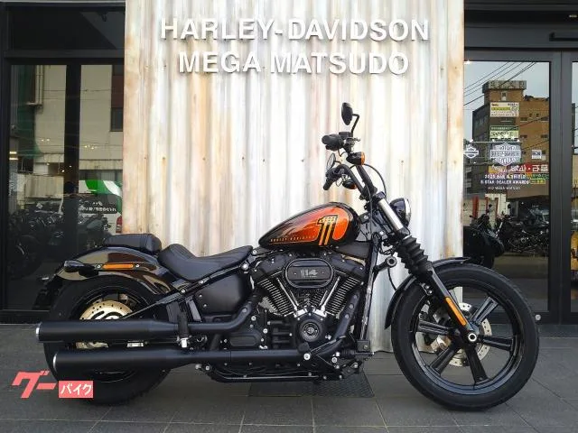 HARLEY-DAVIDSON FXBBS 114 VP ETC 2023 — фото 1, купить с доставкой в Москву