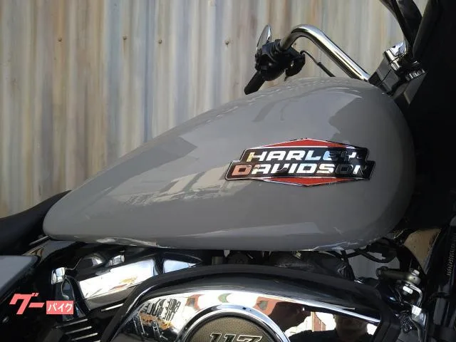 HARLEY-DAVIDSON FLTRX BILLIARD GRAY ETC VP EX 2024 — миниатюра 5