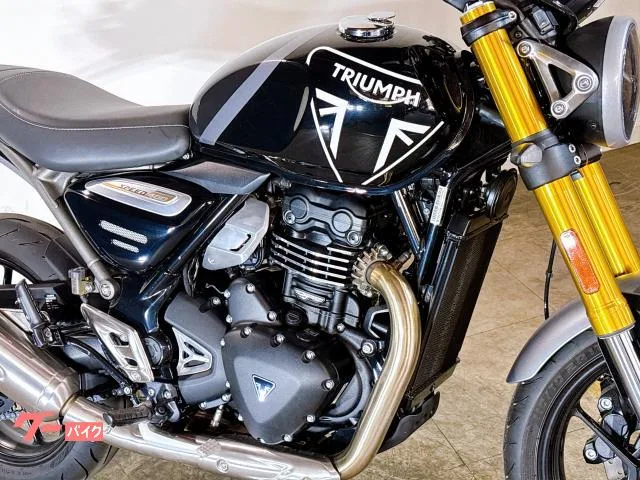 TRIUMPH 400 2025 — миниатюра 3