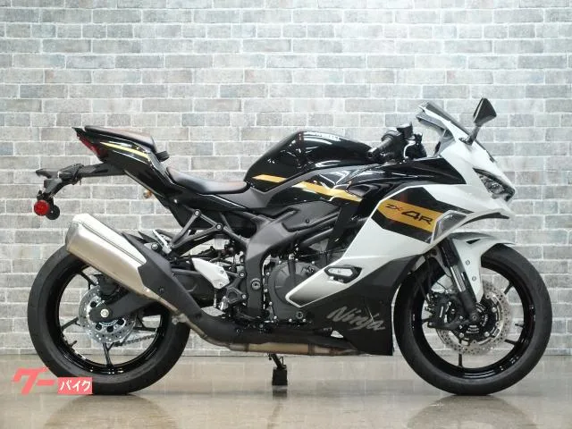 Kawasaki Ninja ZX-4R SE 2026 — миниатюра 3
