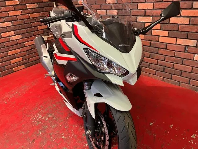 Kawasaki Ninja 400 ABS 2026 2026 — миниатюра 2