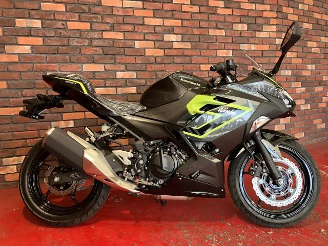 Kawasaki Ninja 250 2026 2026 — миниатюра 2