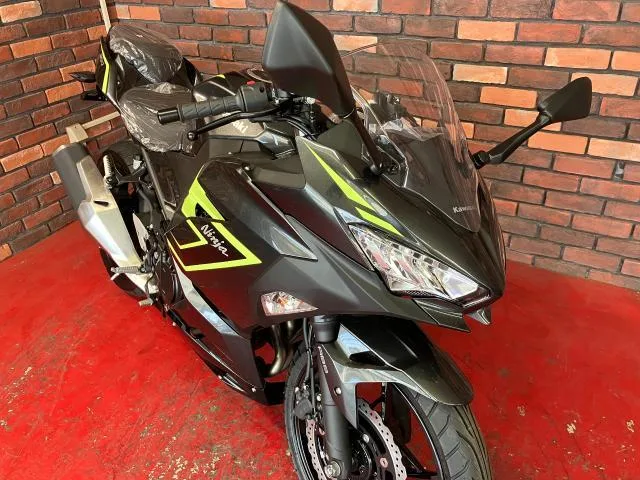 Kawasaki Ninja 250 2026 2026 — миниатюра 3