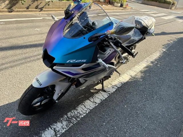 Yamaha YZF-R25 2025 — миниатюра 5