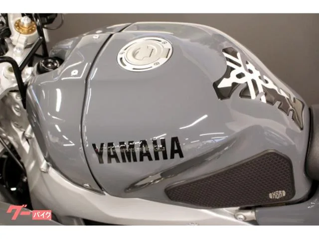 Yamaha XSR900GP. 2024 — миниатюра 5