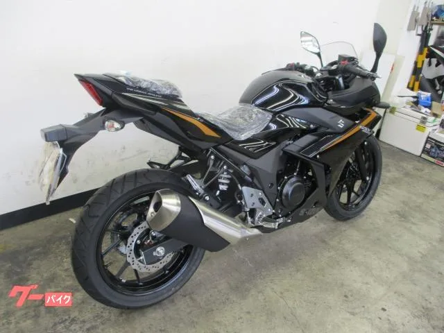 Suzuki GSX250R M4 LED 2 2024 — миниатюра 3