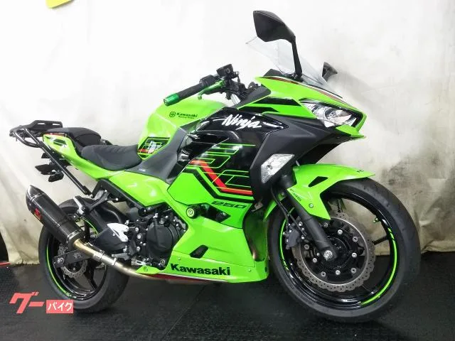 Kawasaki Ninja 250 KRT LED 2023 — миниатюра 2