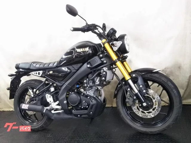 Yamaha XSR125 GPS C 2 2024 — миниатюра 2