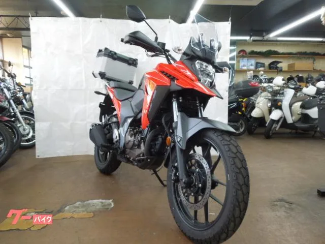 Suzuki V- 250SX 2023 — миниатюра 2
