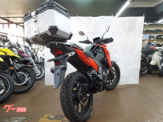 Suzuki V- 250SX 2023 — миниатюра 3