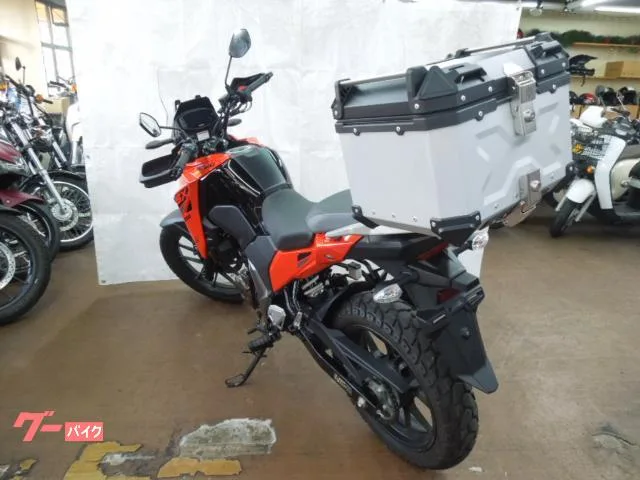 Suzuki V- 250SX 2023 — миниатюра 5