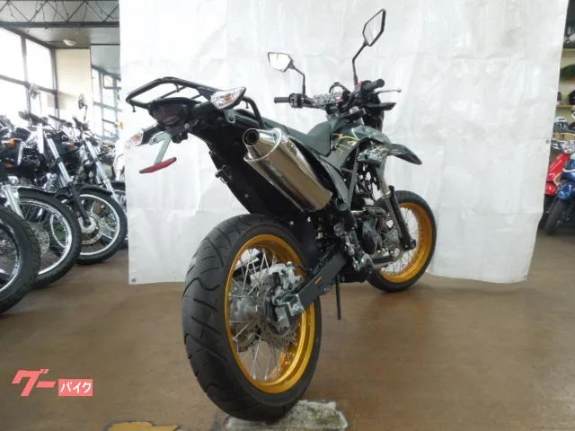Kawasaki KLX230SM SP 2023 — миниатюра 3
