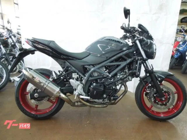 Suzuki SV650 ETC2.0 USB 2023 — фото 1, купить с доставкой в Москву