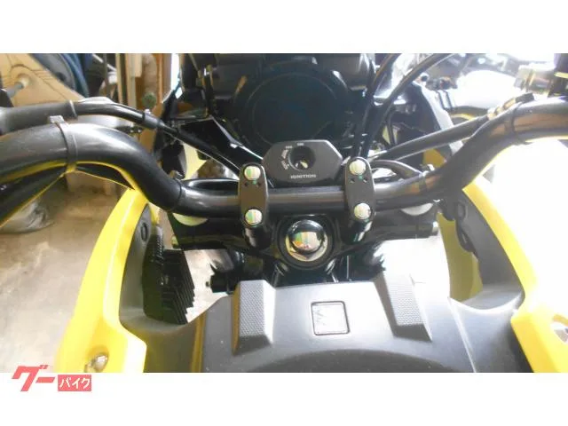 Suzuki V- 250 2024 — миниатюра 4