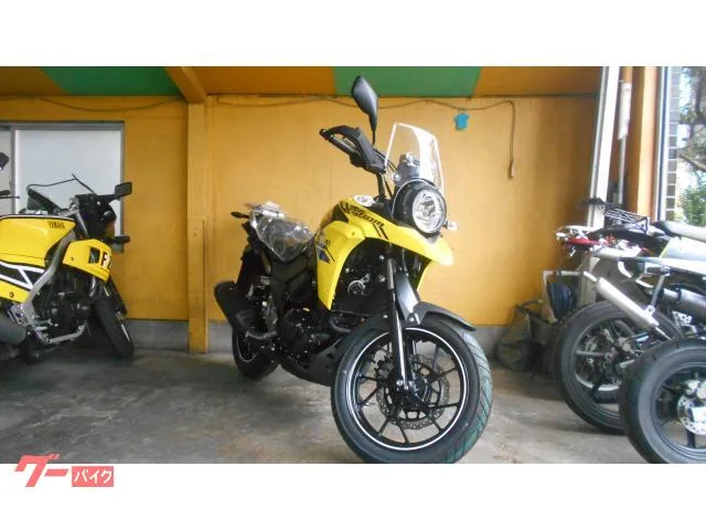 Suzuki V- 250 2024 — миниатюра 5