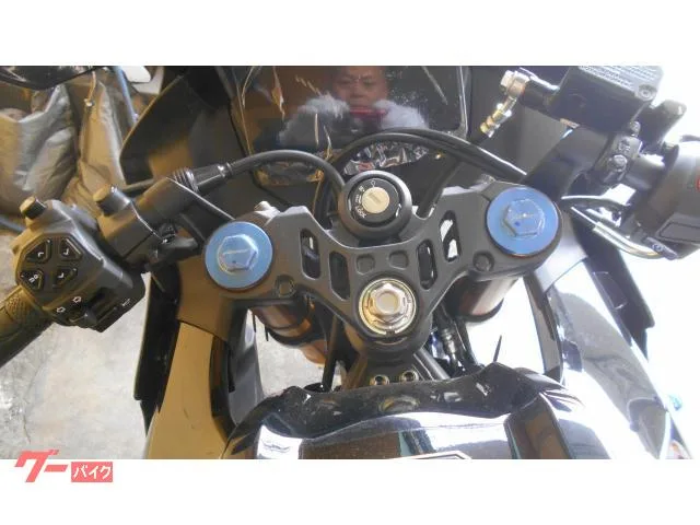 Yamaha YZF-R15M 2025 — миниатюра 4