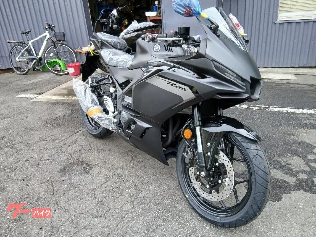 Yamaha YZF-R25 2025 2025 — миниатюра 2