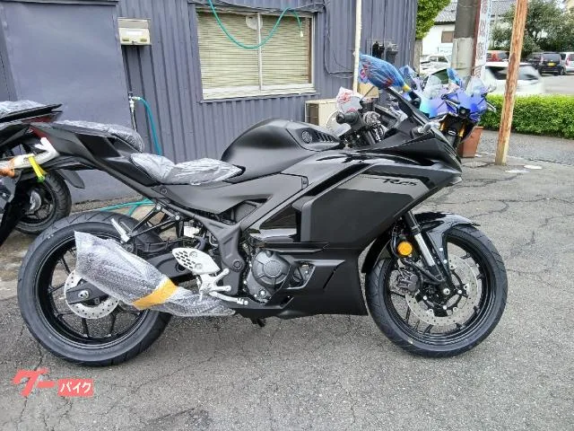 Yamaha YZF-R25 2025 2025 — фото 1, купить с доставкой в Москву