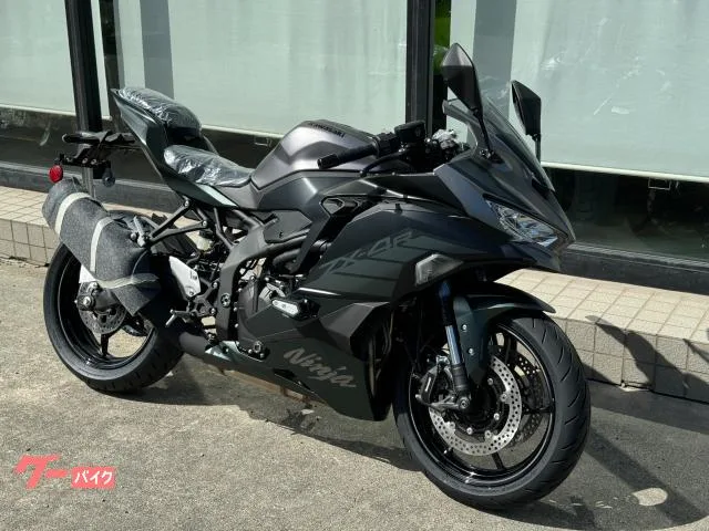 Kawasaki Ninja ZX-4R SE 2025 — миниатюра 2