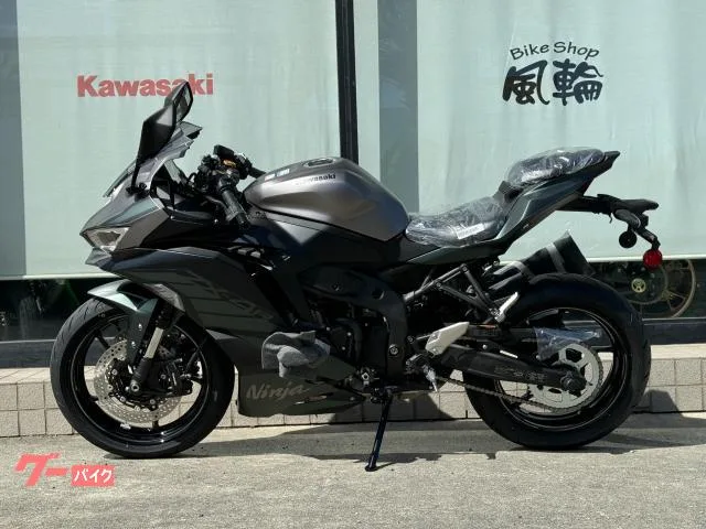 Kawasaki Ninja ZX-4R SE 2025 — миниатюра 4