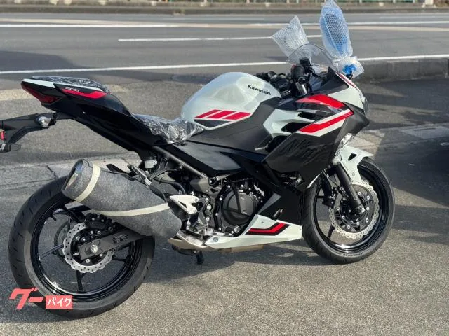 Kawasaki Ninja 400 2026 — миниатюра 3