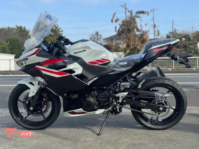 Kawasaki Ninja 400 2026 — миниатюра 4