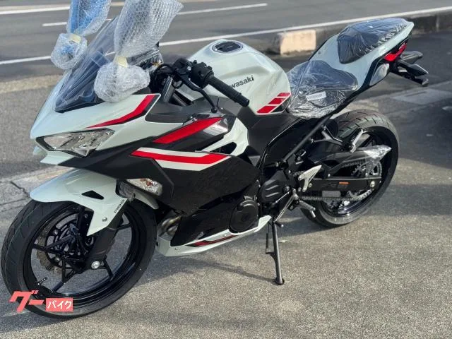 Kawasaki Ninja 400 2026 — миниатюра 5