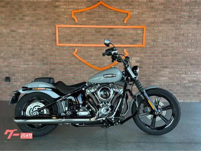 HARLEY-DAVIDSON FXBB 2025 — фото 1, купить с доставкой в Москву