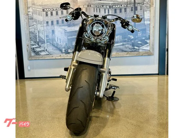 HARLEY-DAVIDSON FLFB 117 2025 — миниатюра 2
