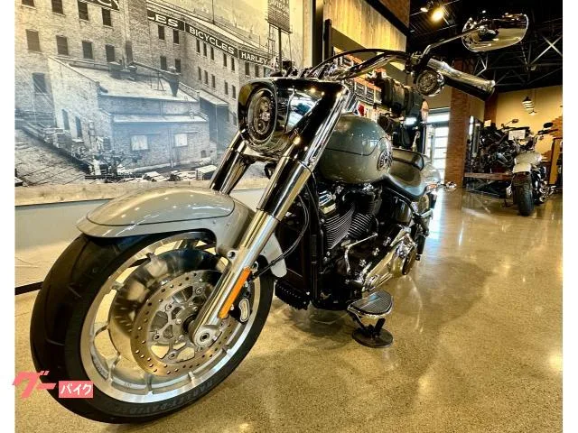 HARLEY-DAVIDSON FLFB 117 2025 — миниатюра 3
