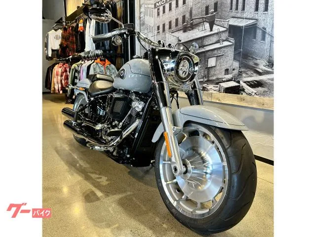HARLEY-DAVIDSON FLFB 117 2025 — миниатюра 5