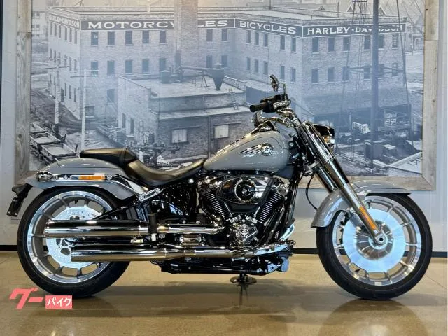 HARLEY-DAVIDSON FLFB 117 2025 — фото 1, купить с доставкой в Москву