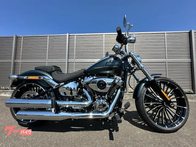 HARLEY-DAVIDSON FXBR 2026 — фото 1, купить с доставкой в Москву